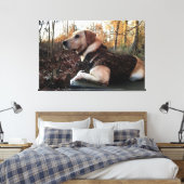 Labrador Retriever Duck Hunter's ultimate Weapon Canvas Afdruk (Insitu (Slaapkamer))