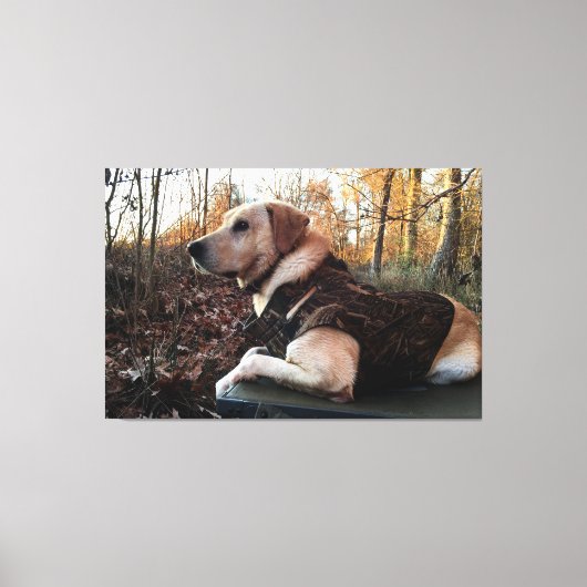 Labrador Retriever Duck Hunter's ultimate Weapon Canvas Afdruk (Voorkant)