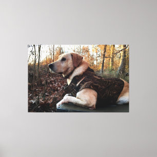 Labrador Retriever Duck Hunter's ultimate Weapon Canvas Afdruk