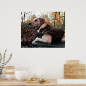Labrador Retriever Duck Hunter's ultimate Weapon Poster (Keuken)