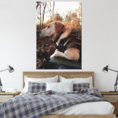 Labrador Retriever Duck Missile op de lanceringspa Canvas Afdruk (Insitu (Slaapkamer))