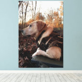 Labrador Retriever Duck Missile op de lanceringspa Canvas Afdruk (Insitu (Houten vloer))