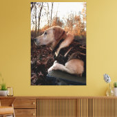 Labrador Retriever Duck Missile op de lanceringspa Canvas Afdruk (Insitu (Woonkamer))