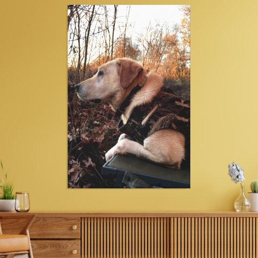 Labrador Retriever Duck Missile op de lanceringspa Canvas Afdruk (Insitu (Woonkamer))