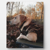 Labrador Retriever Duck Missile op de lanceringspa Fotoplaat (Voorkant)