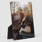 Labrador Retriever Duck Missile op de lanceringspa Fotoplaat (Zijkant)