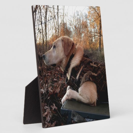Labrador Retriever Duck Missile op de lanceringspa Fotoplaat (Zijkant)