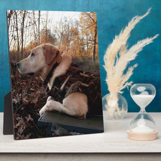 Labrador Retriever Duck Missile op de lanceringspa Fotoplaat (Zijkant)