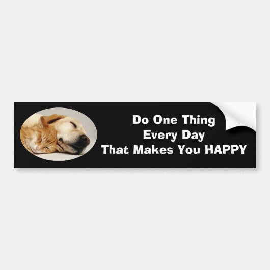 Labrador Retriever en Cat Bumpersticker (Voorkant)