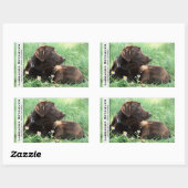 Labrador Retriever en paarse bloemen Rechthoekige Sticker (Vel)