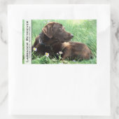 Labrador Retriever en paarse bloemen Rechthoekige Sticker (Tas)