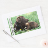 Labrador Retriever en paarse bloemen Rechthoekige Sticker (Envelop)