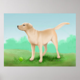 Labrador Retriever en zijn Tennis Ball Poster
