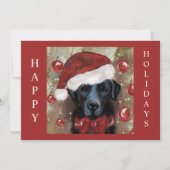 Labrador Retriever  Feestdagenkaart (Voorkant)