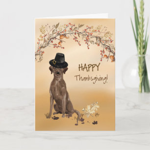 Labrador Retriever Funny Pilgrim Pet Thanksgiving Kaart