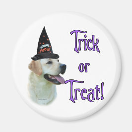 Labrador Retriever (geel) Trick Magneet