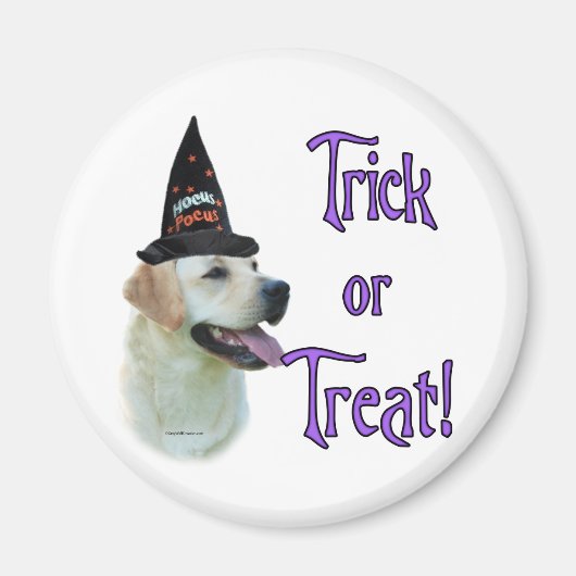 Labrador Retriever (geel) Trick Magneet (Voorkant)