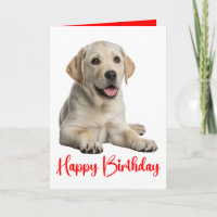 Labrador Retriever Gele Lab Puppy Hond Verjaardag