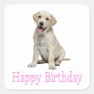 Labrador Retriever Gele Lab Puppy Hond Verjaardag Vierkante Sticker