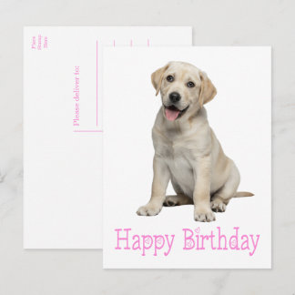 Labrador Retriever Gele Lab Puppy Hondenverjaardag Briefkaart