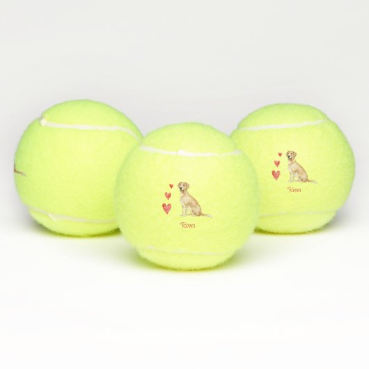 Labrador Retriever gepersonaliseerde hond Tennisballen (Multi)