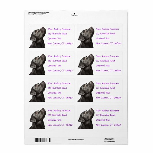 Labrador Retriever Gepersonaliseerde Naam Adres La Etiket (Full Sheet)
