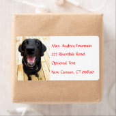 Labrador Retriever Gepersonaliseerde Naam Adres La Etiket (Insitu)