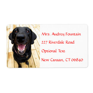 Labrador Retriever Gepersonaliseerde Naam Adres La Etiket