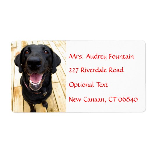 Labrador Retriever Gepersonaliseerde Naam Adres La Etiket (Voorkant)