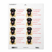 Labrador Retriever Gepersonaliseerde Naam Adres La Etiket (Full Sheet)
