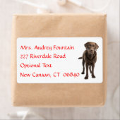 Labrador Retriever Gepersonaliseerde Naam Adres La Etiket (Insitu)