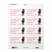 Labrador Retriever Gepersonaliseerde Naam Adres La Etiket (Full Sheet)