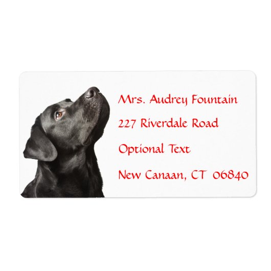 Labrador Retriever Gepersonaliseerde Naam Adres La Etiket (Voorkant)