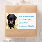 Labrador Retriever Gepersonaliseerde Naam Adres La Etiket (Insitu)