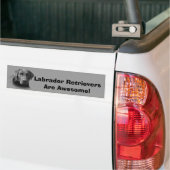 Labrador Retriever Geweldige Bumpersticker (Op Truck)