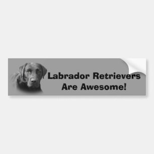 Labrador Retriever Geweldige Bumpersticker