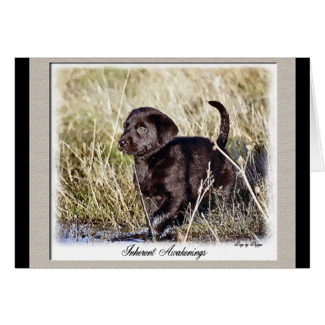 Labrador Retriever Gifts (Voorkant Horizontaal)