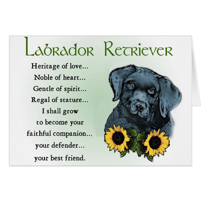 Labrador Retriever Gifts (Voorkant Horizontaal)