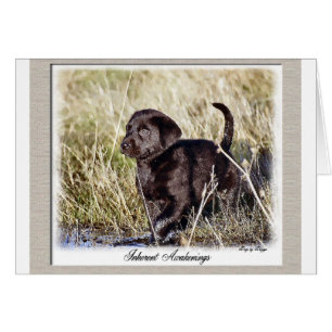 Labrador Retriever Gifts