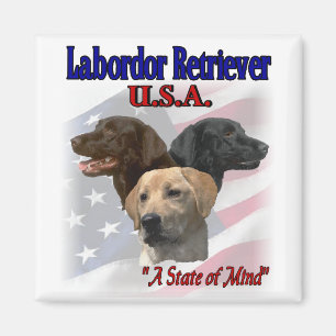 Labrador Retriever Gifts Magneet
