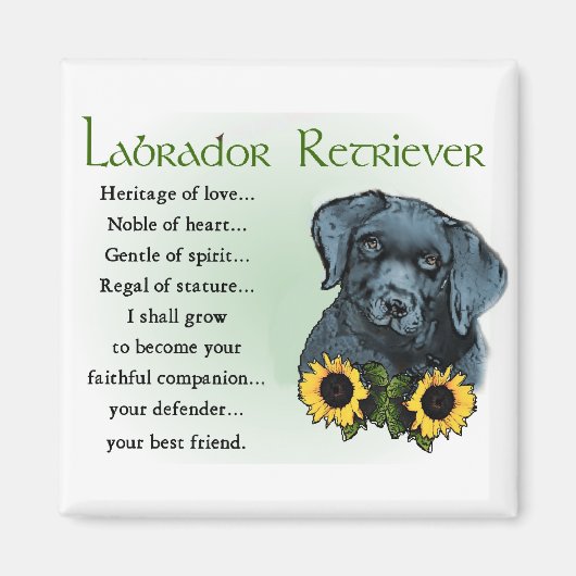 Labrador Retriever Gifts Magneet (Voorkant)
