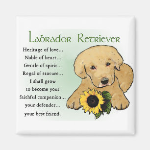 Labrador Retriever Gifts Magneet