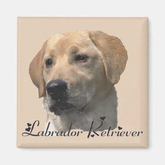 Labrador Retriever Gifts Yellow Lab Art Magneet (Voorkant)