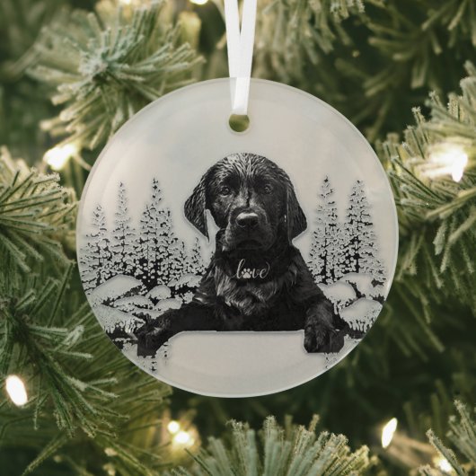 Labrador Retriever Glas Ornament (Insitu)