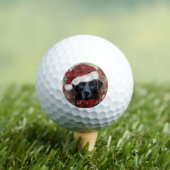 Labrador Retriever  Golfballen (Insitu Shirt)