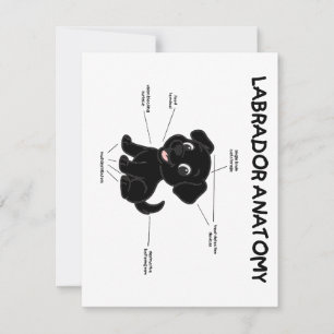 Labrador Retriever Grappige Anatomie Cartoon Notitiekaartje