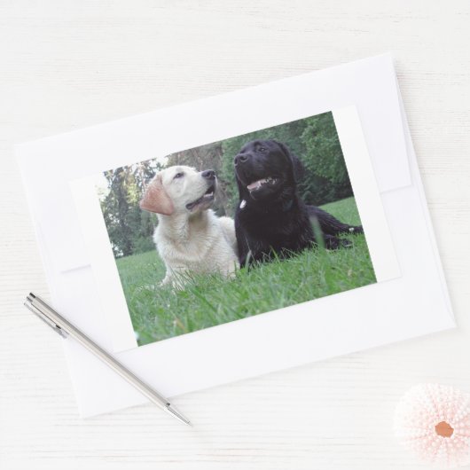 labrador retriever groep rechthoekige sticker (Envelop)