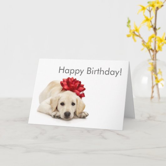 Labrador Retriever Happy Birthday Card Kaart (Gele Bloem)