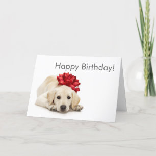 Labrador Retriever Happy Birthday Card Kaart