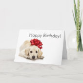 Labrador Retriever Happy Birthday Card Kaart (Voorkant)